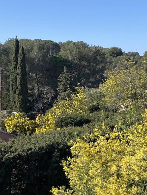 St Raphael 37M2, Piscine, Wifi, Commerces Mer 5Mn A Pieds Saint-Raphaël Eksteriør bilde